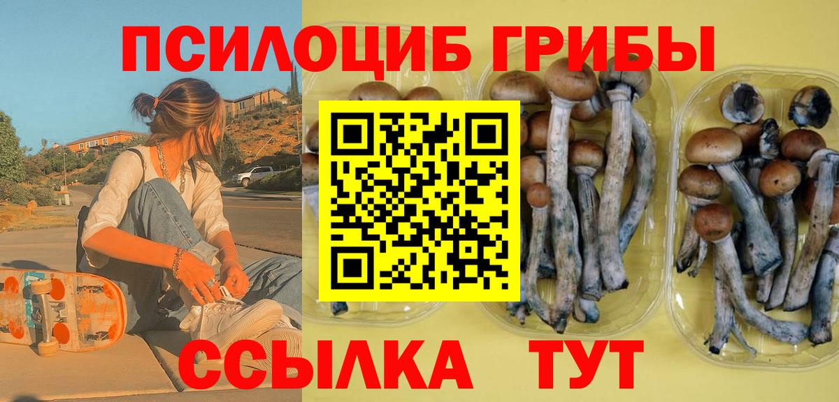 Луга  Псилоцибиновые грибы GOLDEN TEACHER  Псилоцибиновые грибы Magic Shrooms  Вход с VPN 